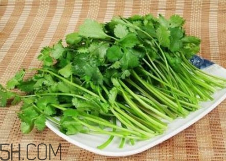 香菜根煮水怎么煮？香菜根煮水喝幾天見效？