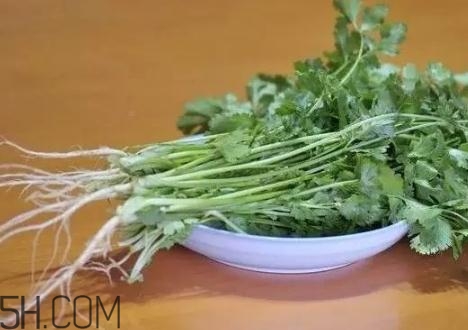 香菜根煮水能減肥嗎？香菜根煮水能天天喝嗎？