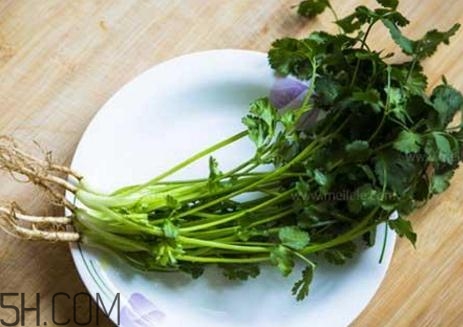 香菜根煮水能減肥嗎？香菜根煮水能天天喝嗎？
