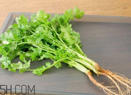香菜根煮水能美白嗎？香菜根煮水能祛斑嗎？