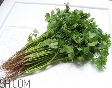 香菜根煮水能美白嗎？香菜根煮水能祛斑嗎？