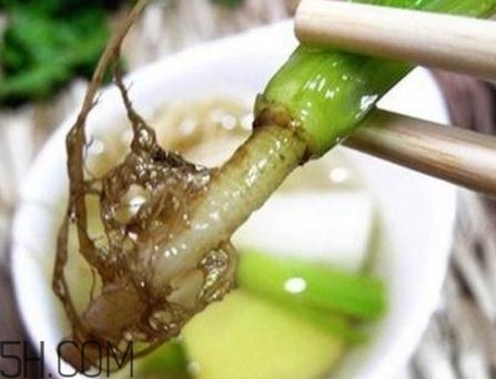 香菜根煮水能美白嗎？香菜根煮水能祛斑嗎？