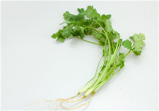 香菜根煮水能治濕疹嗎？香菜根煮水孕婦能喝嗎？