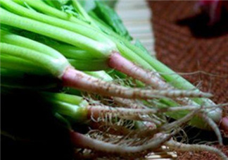 香菜根煮水能美白嗎？香菜根煮水能祛斑嗎？