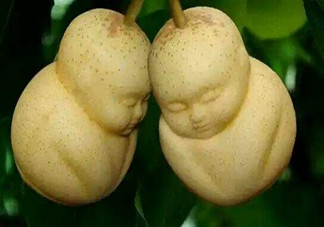 女人吃人參果有哪些好處？人參果的營養(yǎng)價(jià)值是什么？