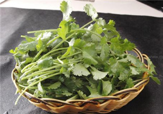 香菜根煮水能減肥嗎？香菜根煮水能天天喝嗎？