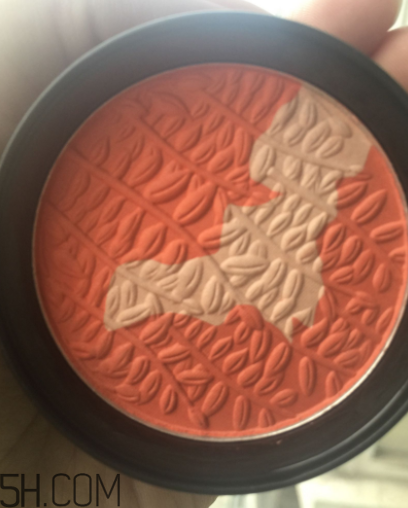 瑪麗黛佳腮紅怎么打？瑪麗黛佳腮紅怎么用？
