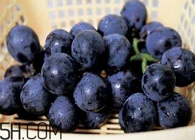吃黑加侖對眼睛有什么好處？吃黑加侖要注意什么？