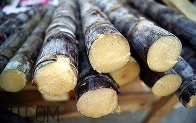 甘蔗和橙子能一起吃嗎？吃完甘蔗可以吃橙子嗎？