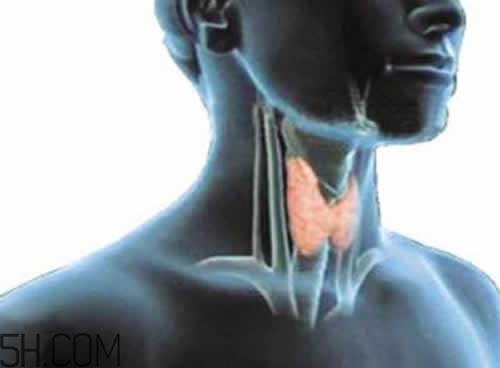 甲狀腺腫大和甲亢的區(qū)別有哪些？甲狀腺腫大適合吃什么食物？