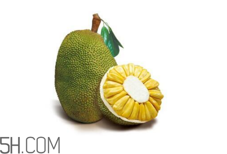 為什么吃菠蘿蜜拉肚子？吃菠蘿蜜拉肚子怎么辦？
