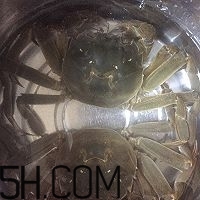 冬天可以吃大閘蟹嗎？冬天怎么吃大閘蟹？