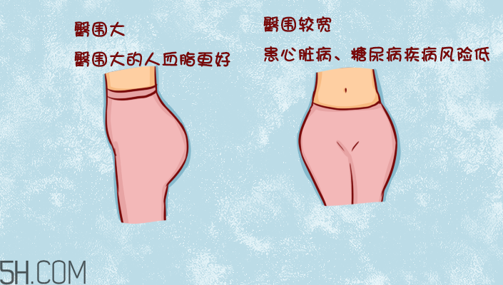 臀部護理對健康有什么影響？日常如何保養(yǎng)臀部健康？