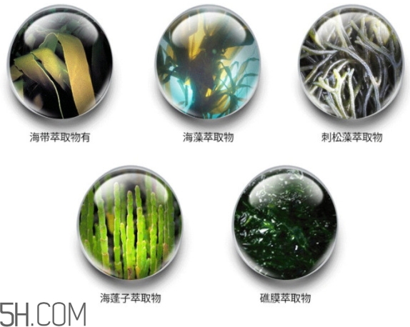 jmsolution珍珠面膜怎么用？jm珍珠珍珠面膜分為三部曲