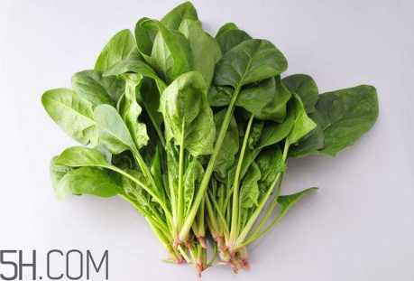 羊肉和菠菜能一起吃嗎？吃羊肉能吃菠菜嗎？