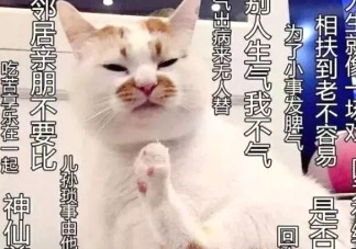 佛系妝是什么妝？佛系妝容輕松打造
