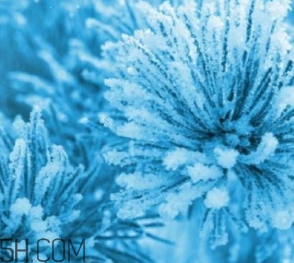 自然堂雪松精油怎么樣？雪松御齡綻放年輕光彩