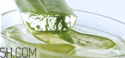 擠痘痘后可以涂蘆薈膠嗎？涂抹維生素e和蘆薈膠的作用