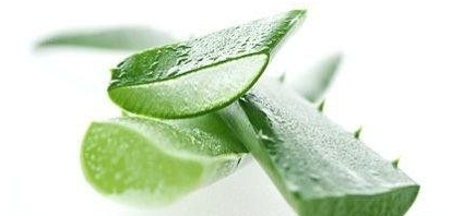嘴唇干裂能用蘆薈膠嗎？鼻子脫皮也可以用蘆薈膠