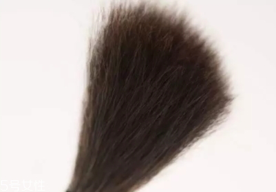 高光刷哪個(gè)牌子好？好用到哭的高光刷