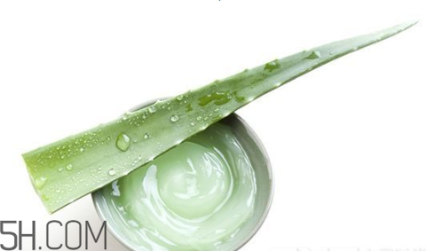 蘆薈膠吃了會怎樣？蘆薈膠的吃法