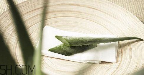 蘆薈膠吃了會怎樣？蘆薈膠的吃法