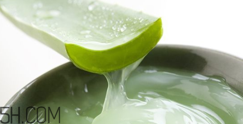 蘆薈膠吃了會怎樣？蘆薈膠的吃法