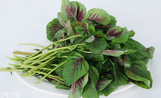 吃莧菜可以減肥嗎？減肥食物熱量排行榜