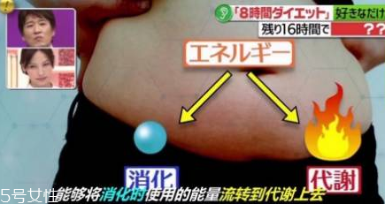 青汁一天喝幾袋最減肥？日本瘋傳的減肥飲食大法