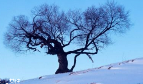 三九天最適合減肥的運(yùn)動(dòng)有哪些？推薦三種減肥運(yùn)動(dòng)