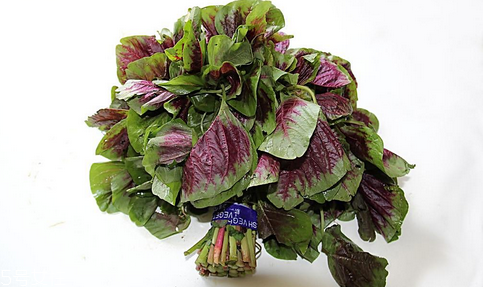 吃莧菜可以減肥嗎？減肥食物熱量排行榜