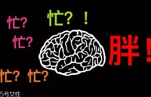 久坐不動(dòng)上班族如何減肥？越努力工作的人越容易發(fā)胖