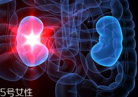 腎病為什么會(huì)發(fā)展到尿毒癥？這些因素一定要注意