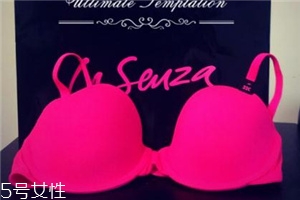 la senza是什么牌子？來自加拿大的頂尖內(nèi)衣