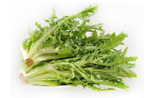 苦菊小孩能吃嗎？小孩吃苦菊促進(jìn)腦部發(fā)育