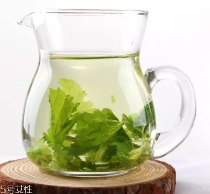 桑葉茶哪些人不能喝？過(guò)多飲用傷脾胃?jìng)I