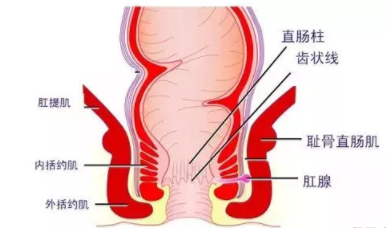 肛瘺非手術(shù)治療才可以嗎？手術(shù)是治療的關(guān)鍵途徑