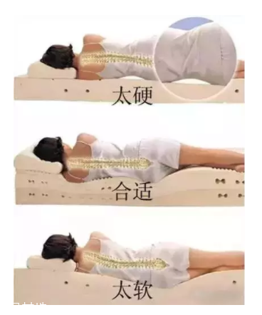 床越軟越好嗎？軟床導(dǎo)致駝背