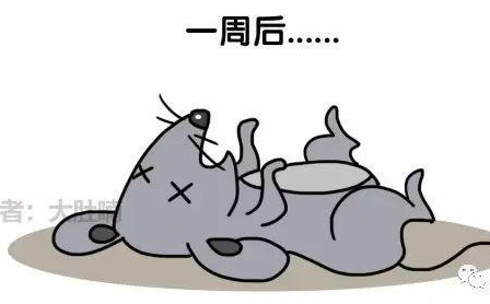 自然堂隔離霜孕婦可以用嗎？含有孕婦禁用成分