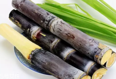 甘蔗的吃法有什么不同？吃法不同療效不同