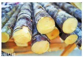 甘蔗的吃法有什么不同？吃法不同療效不同