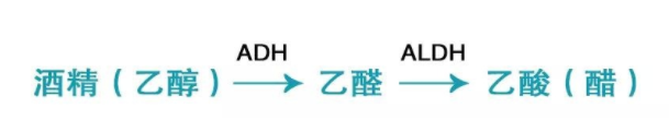 喝酒致癌的真相是什么？乙醛致癌太可怕