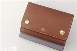 mulberry錢包多少錢？celine平價(jià)替代