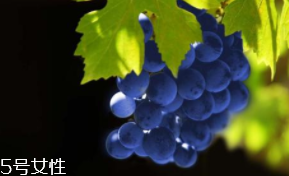 葡萄籽補(bǔ)劑要不要買(mǎi)？不如早睡早起