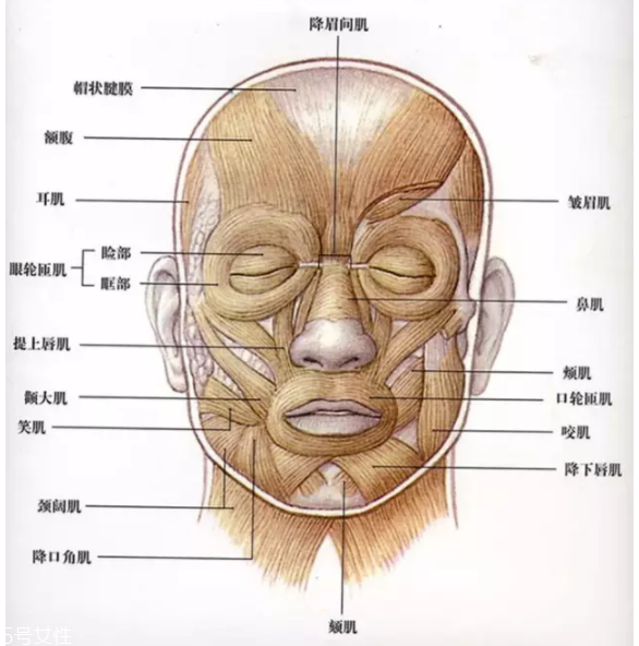 法令紋怎么去除？最有效的方法是醫(yī)美