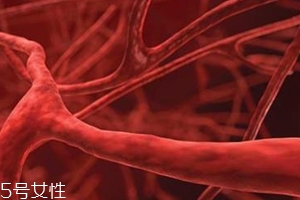 血管塞有什么征兆？這4個現(xiàn)象要警惕