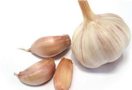 吃大蒜對(duì)腎有好處嗎？大蒜泡酒可補(bǔ)腎