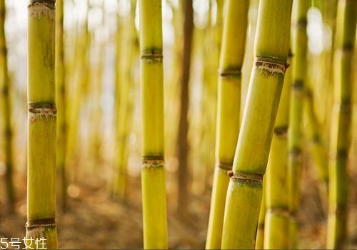 甘蔗熬水可以止咳嗎？來(lái)看看做法
