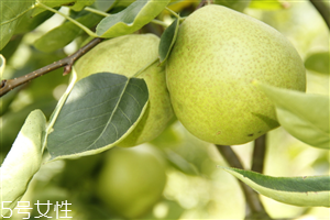 梨子煮熟吃有什么好處？熟梨的常見吃法