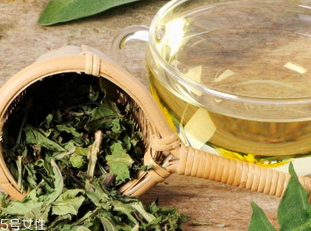 蒲公英茶能減肥嗎？要這樣搭配